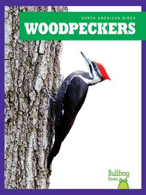 cover image of Woodpeckers